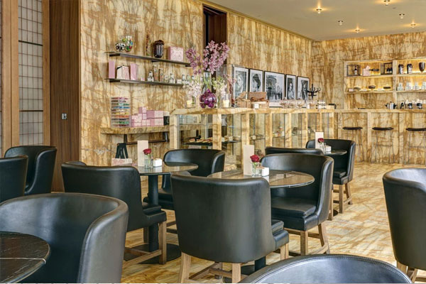 Cafe İlaçlama ve Kafe İlaçlama