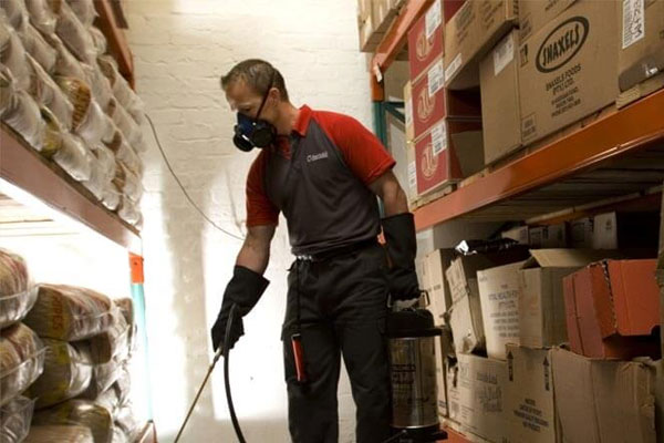 İş Yeri İlaçlama