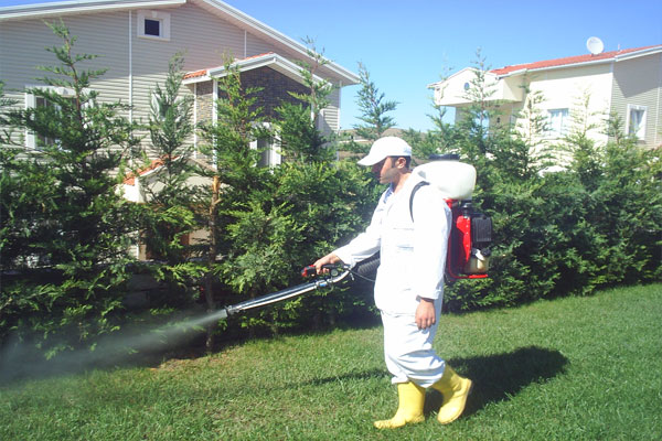 Site Apartman İlaçlama